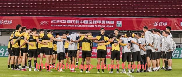 爱体育app-法甲球队外援比例分析及球队战力评估