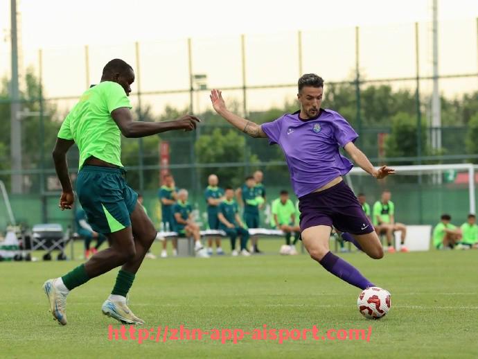 爱体育app-意甲德甲球队交锋:意甲与德甲球队交锋的历史与赛季回顾